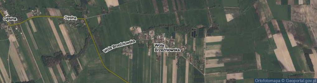 Zdjęcie satelitarne Wola Brzeźniowska ul.
